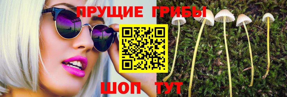 Псилоцибиновые грибы Cubensis Новый Уренгой